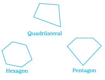 Page 143 Chapter 5 Class 7th NCERT Exemplar